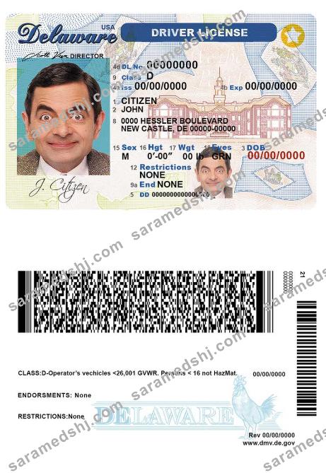 USA Delaware driver license